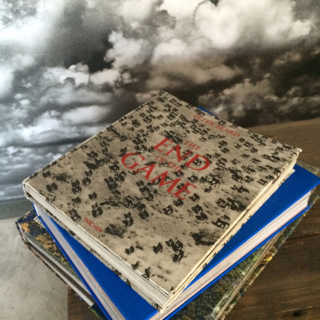 [16444] 2016_06_26_09_43_52_Africa_iPhone_5s_IMG_8403_06254.jpg