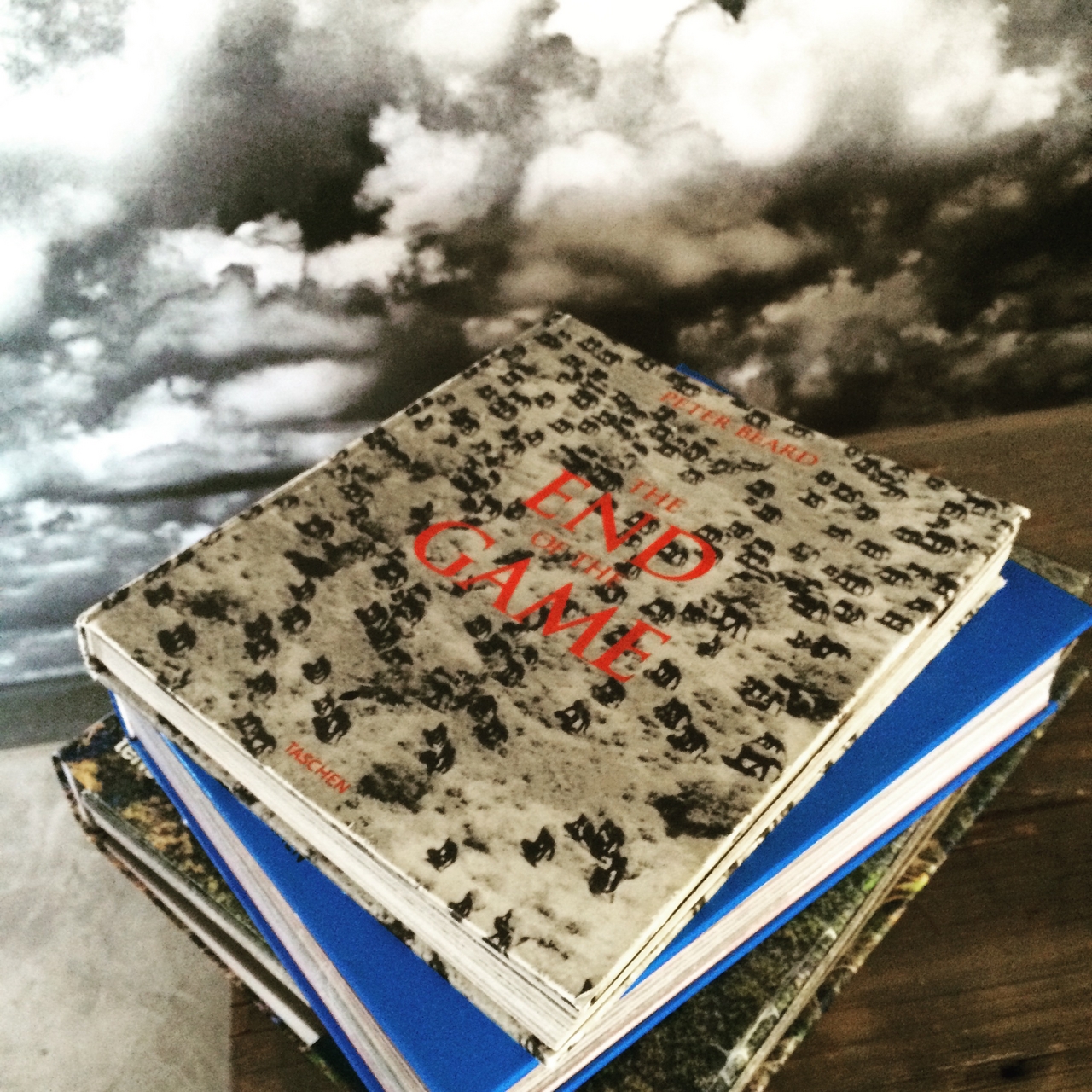 [16446] 2016_06_26_09_43_52_Africa_iPhone_5s_IMG_8405_06258.jpg