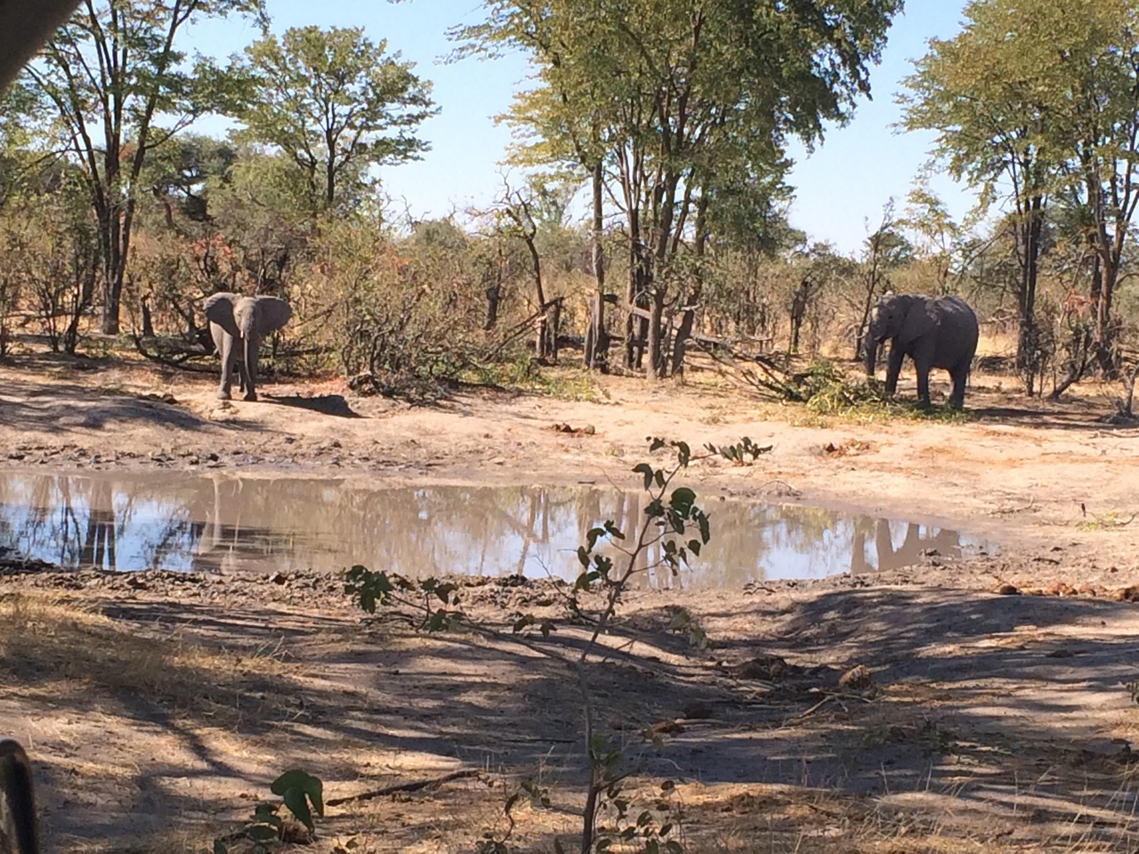 [16818] 2016_06_27_07_51_35_Africa_iPhone_5s_IMG__06319.jpg