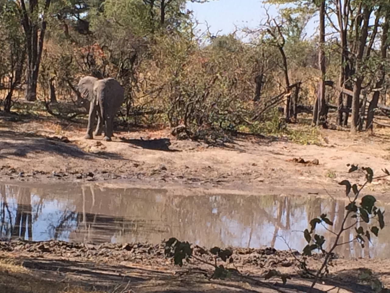 [16840] 2016_06_27_07_51_58_Africa_iPhone_5s_IMG__00708.jpg