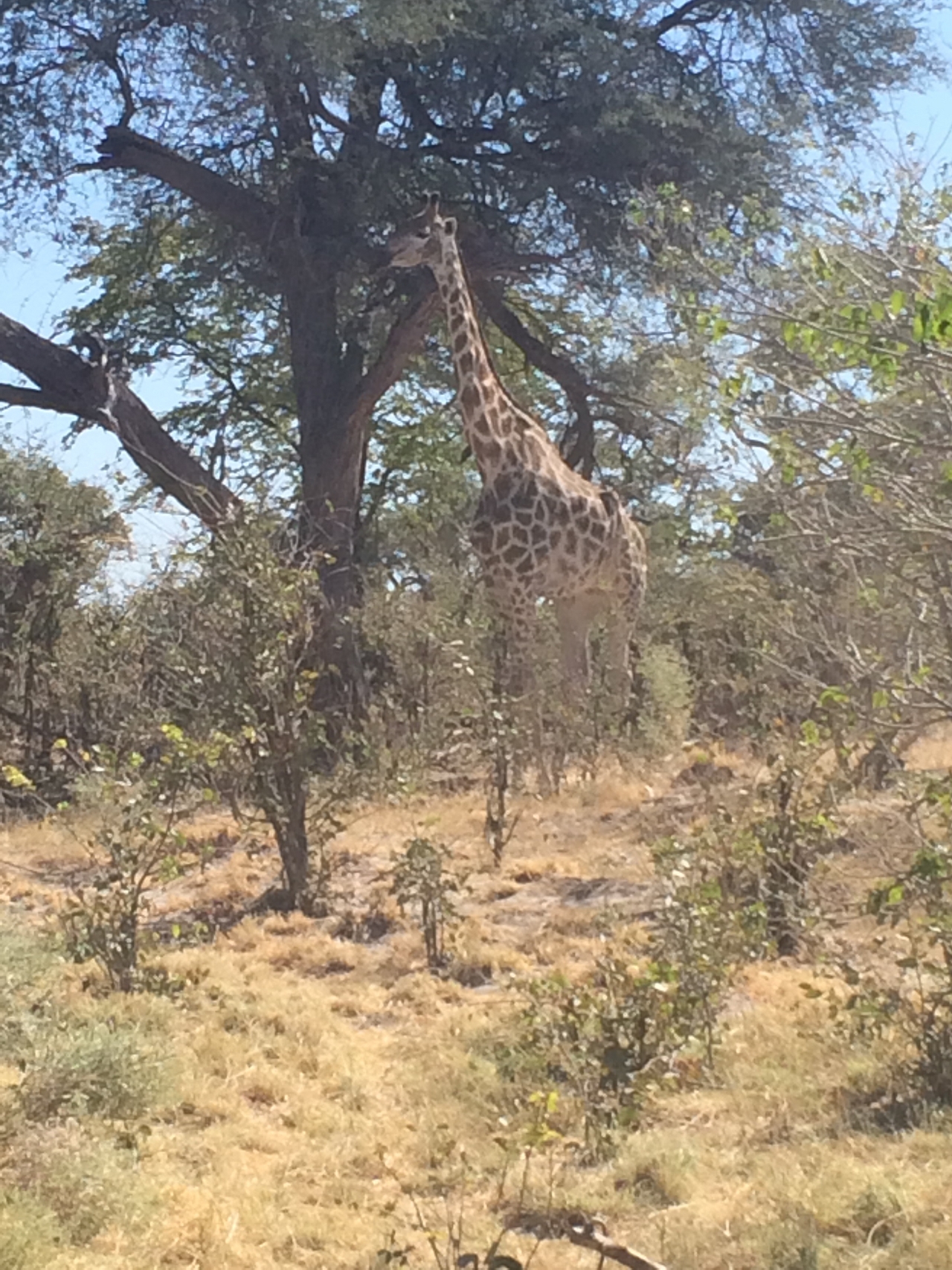 [16862] 2016_06_27_07_54_19_Africa_iPhone_5s_IMG_8442_00710.jpg