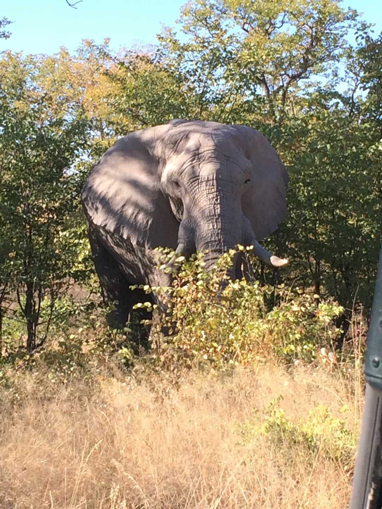 [17075] 2016_06_27_09_26_11_Africa_iPhone_5s_IMG__00723.jpg
