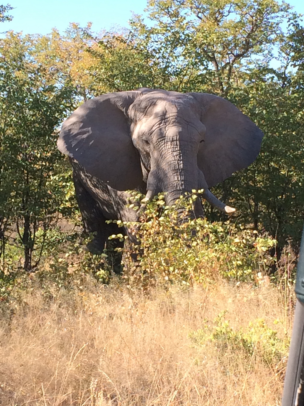 [17080] 2016_06_27_09_26_14_Africa_iPhone_5s_IMG_8449_06339.jpg