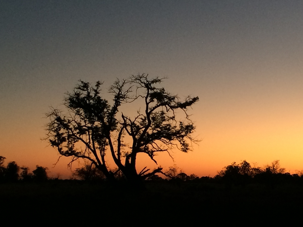 [17171] 2016_06_27_12_22_48_Africa_iPhone_5s_IMG__00747.jpg