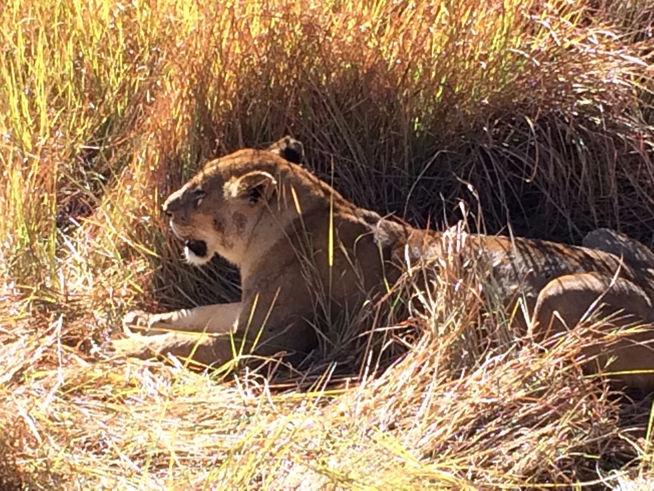 [18987] 2016_06_28_04_20_58_Africa_iPhone_5s_IMG__00760.jpg