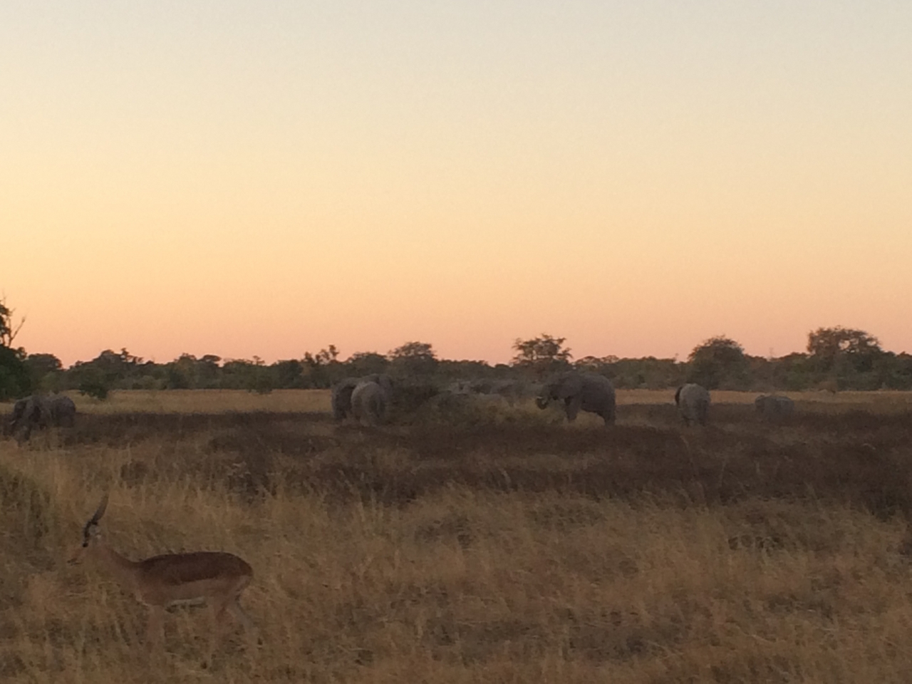 [20197] 2016_06_28_11_54_41_Africa_iPhone_5s_IMG_8499_06398.jpg