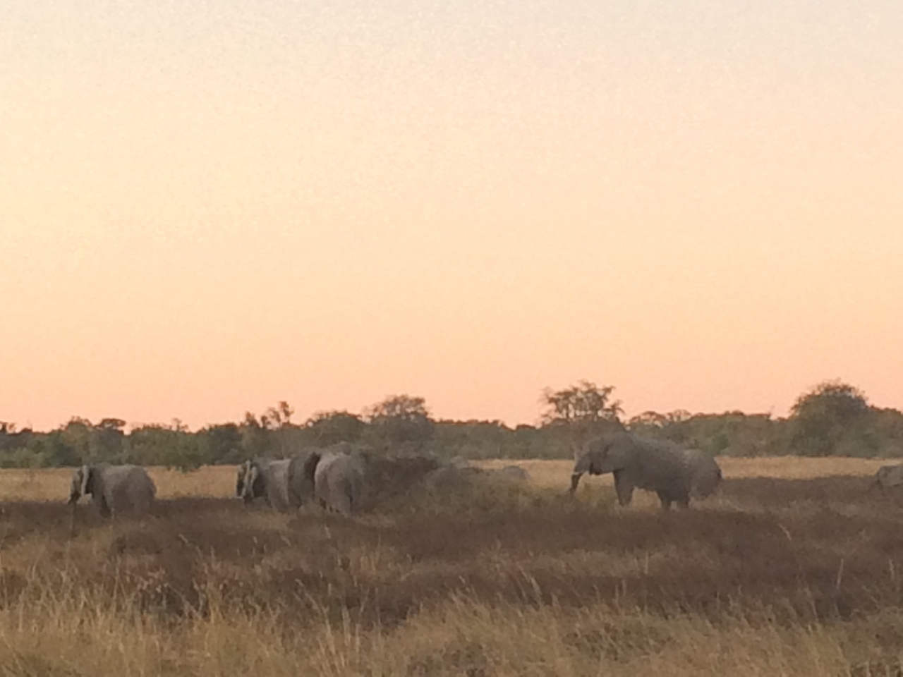 [20200] 2016_06_28_11_55_05_Africa_iPhone_5s_IMG_8501_00787.jpg