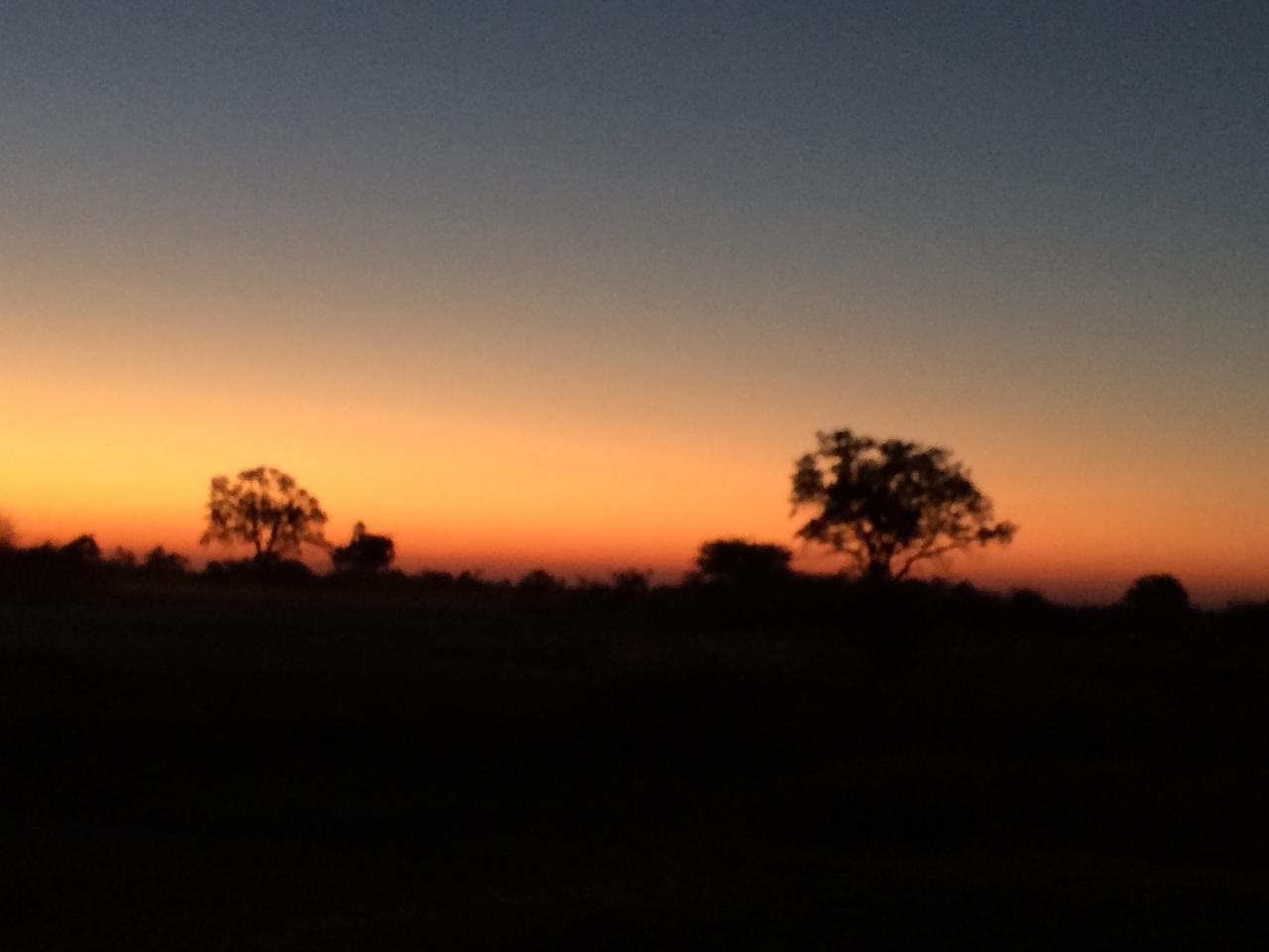 [22174] 2016_06_29_12_25_33_Africa_iPhone_5s_IMG__06421.jpg