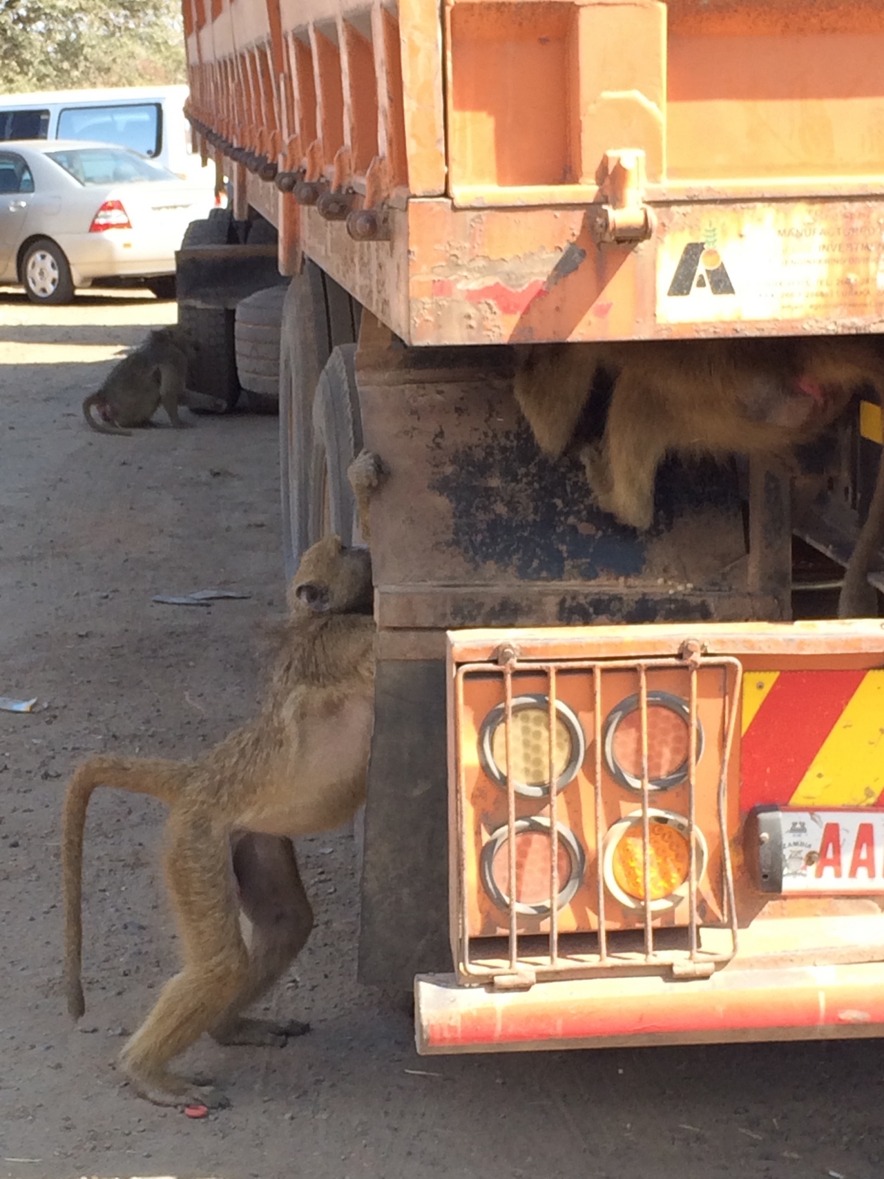 [31210] 2016_07_03_06_20_50_Africa_iPhone_5s_IMG__00831.jpg