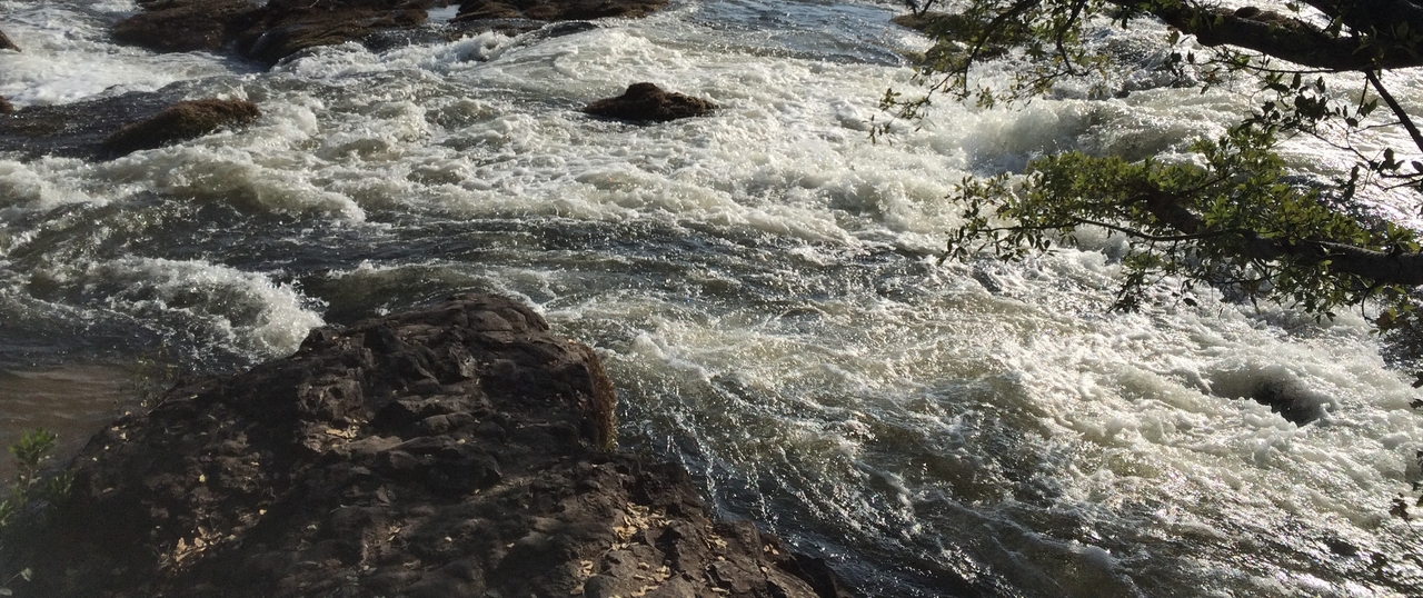 [31852] 2016_07_03_09_46_41_Africa_iPhone_5s_IMG__00854.jpg