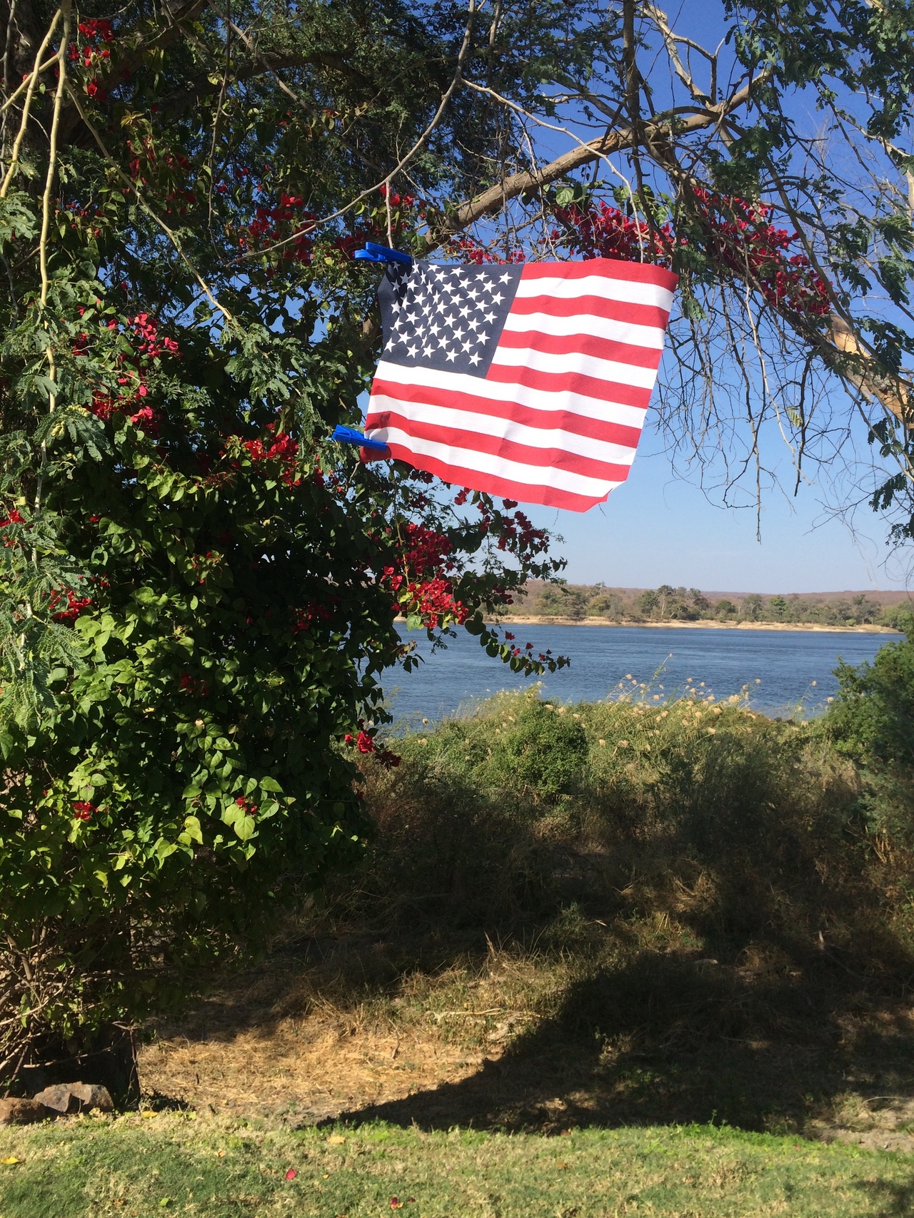 [32814] 2016_07_04_04_00_46_Africa_iPhone_5s_IMG__06505.jpg