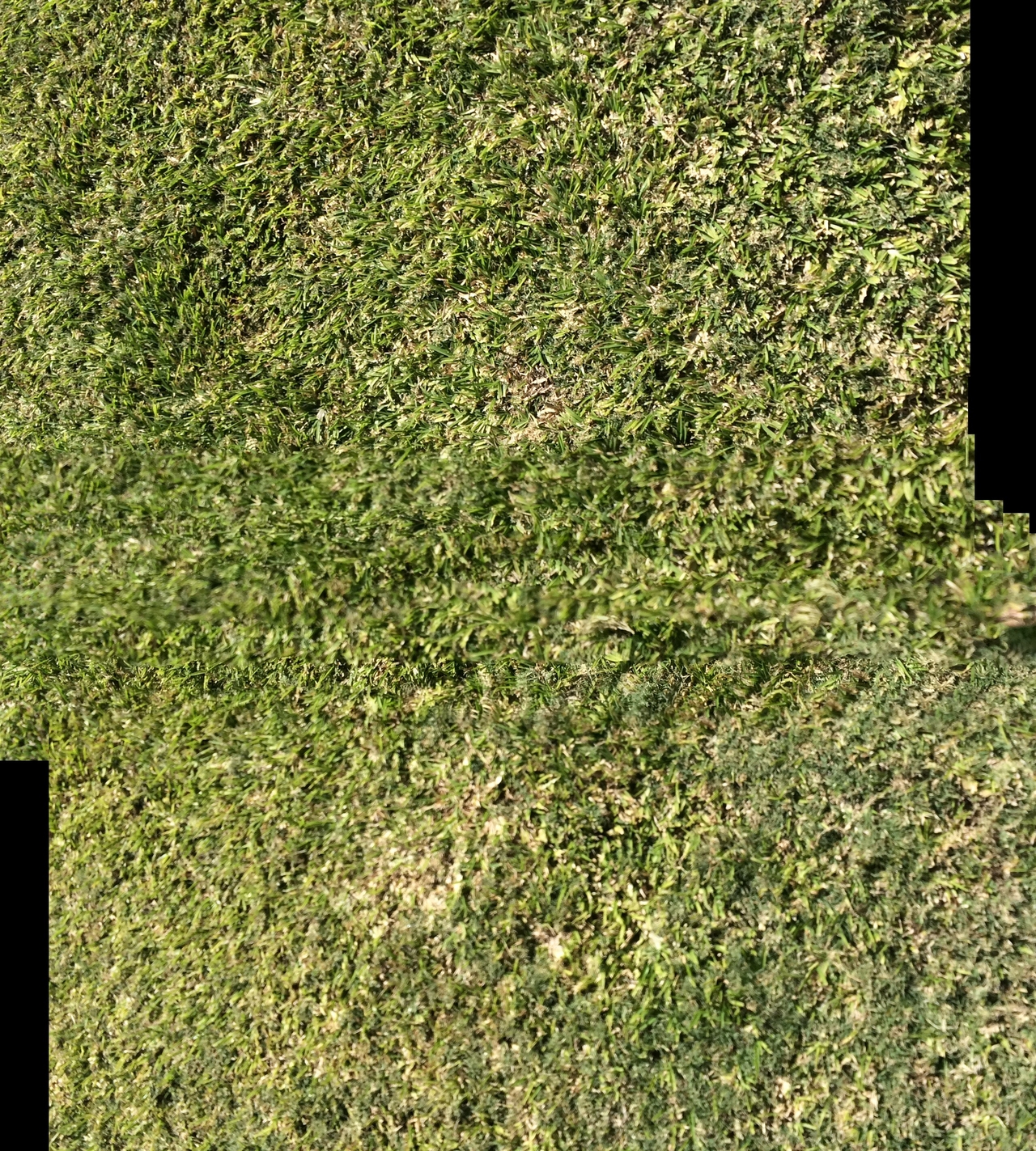 [33067] 2016_07_04_07_43_07_Africa_iPhone_5s_IMG__06516.jpg