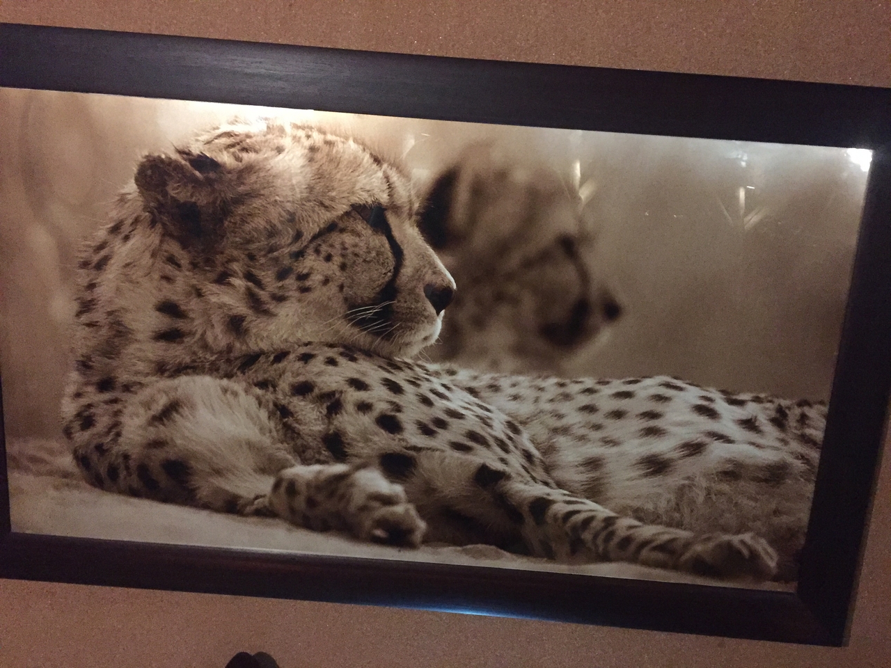 [414] 2016_06_21_21_07_03_Africa_iPhone_6_IMG_7560_02498.jpg