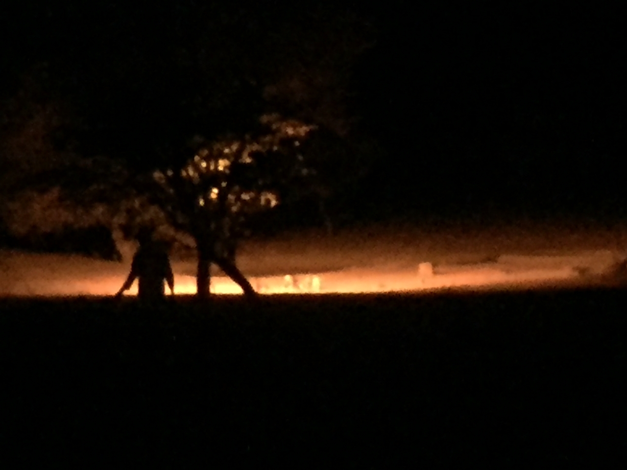 [422] 2016_06_21_21_09_58_Africa_iPhone_6_IMG_7564_02502.jpg