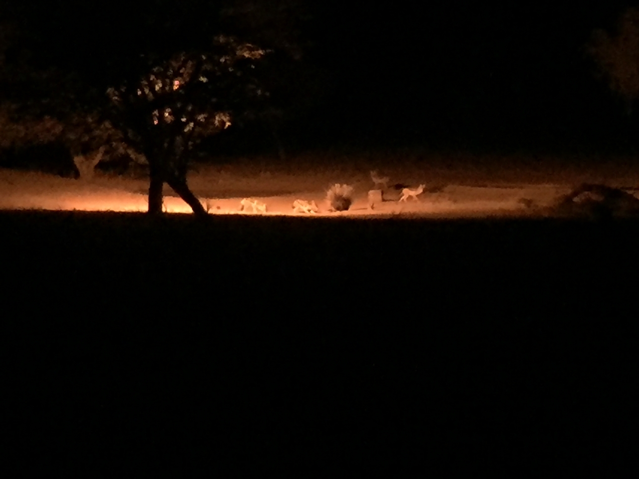 [432] 2016_06_21_21_12_16_Africa_iPhone_6_IMG_7566_02504.jpg