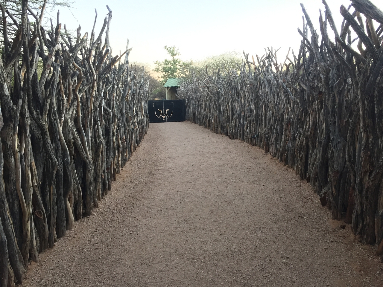 [2207] 2016_06_22_06_27_11_Africa_iPhone_6_IMG_7572_02510.jpg