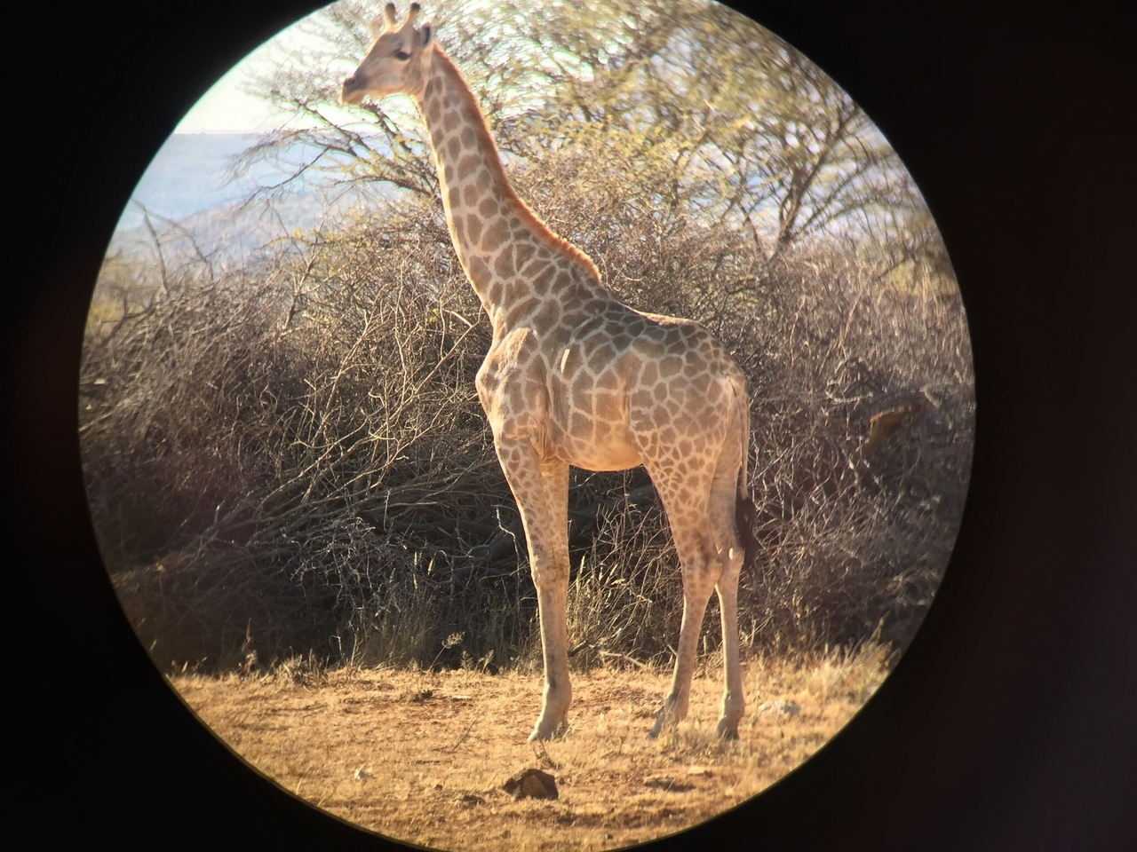 [2280] 2016_06_22_07_37_50_Africa_iPhone_6_IMG_3433_06707.jpg