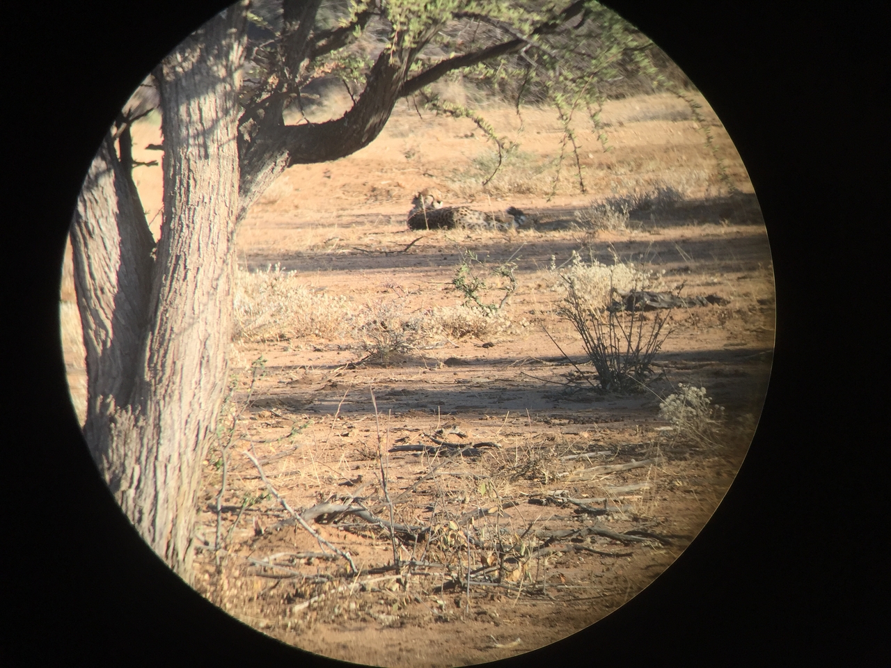 [2318] 2016_06_22_07_43_39_Africa_iPhone_6_IMG_7574_02512.jpg