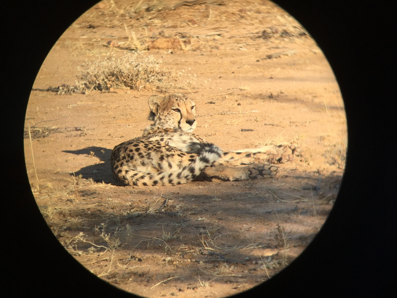 [2339] 2016_06_22_07_46_29_Africa_iPhone_6_IMG_7579_00176.jpg