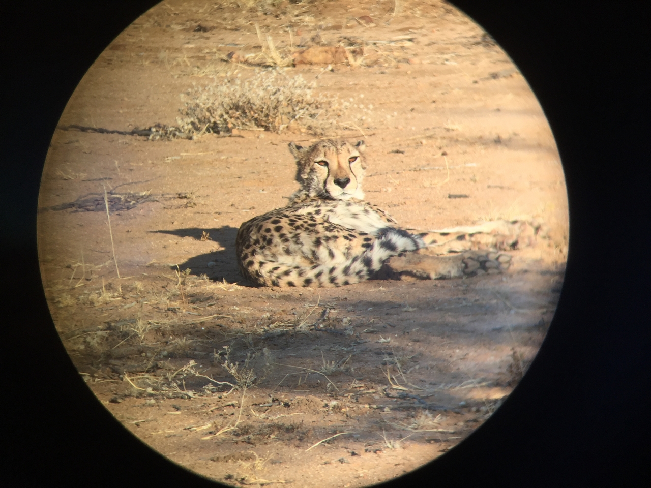 [2344] 2016_06_22_07_46_33_Africa_iPhone_6_IMG_7581_02519.jpg