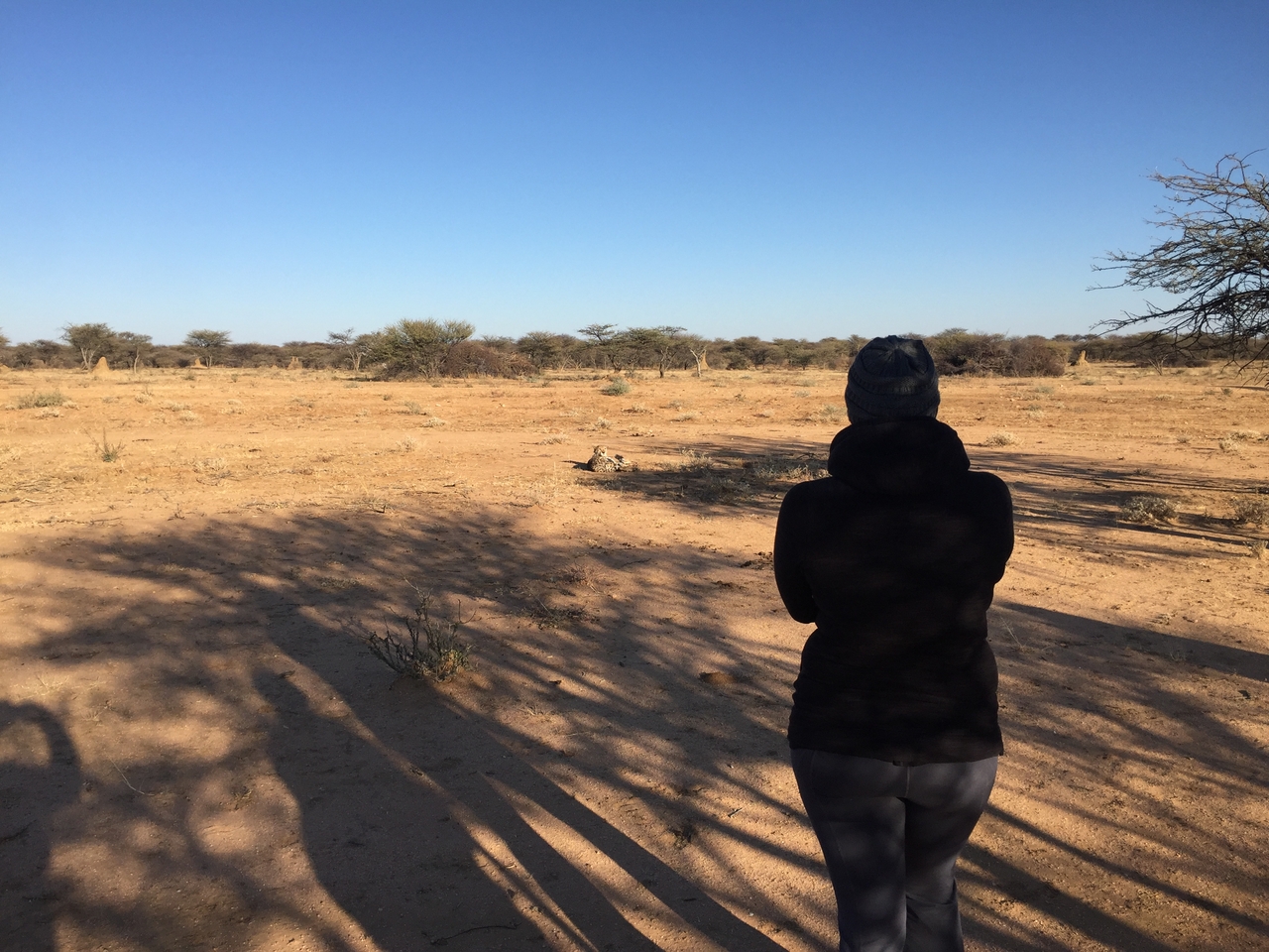 [2350] 2016_06_22_07_47_13_Africa_iPhone_6_IMG_7584_02522.jpg