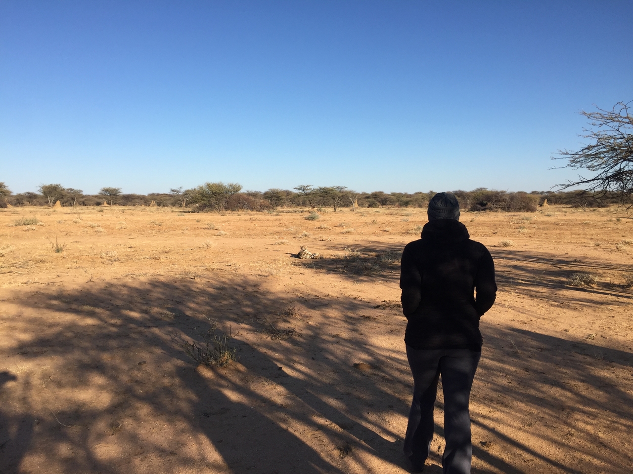 [2351] 2016_06_22_07_47_30_Africa_iPhone_6_IMG_7585_00182.jpg