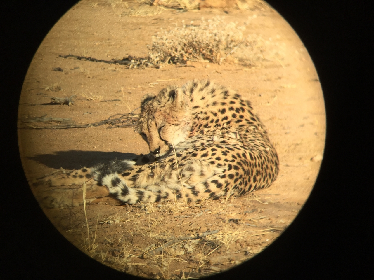 [2369] 2016_06_22_07_50_28_Africa_iPhone_6_IMG_7594_00191.jpg