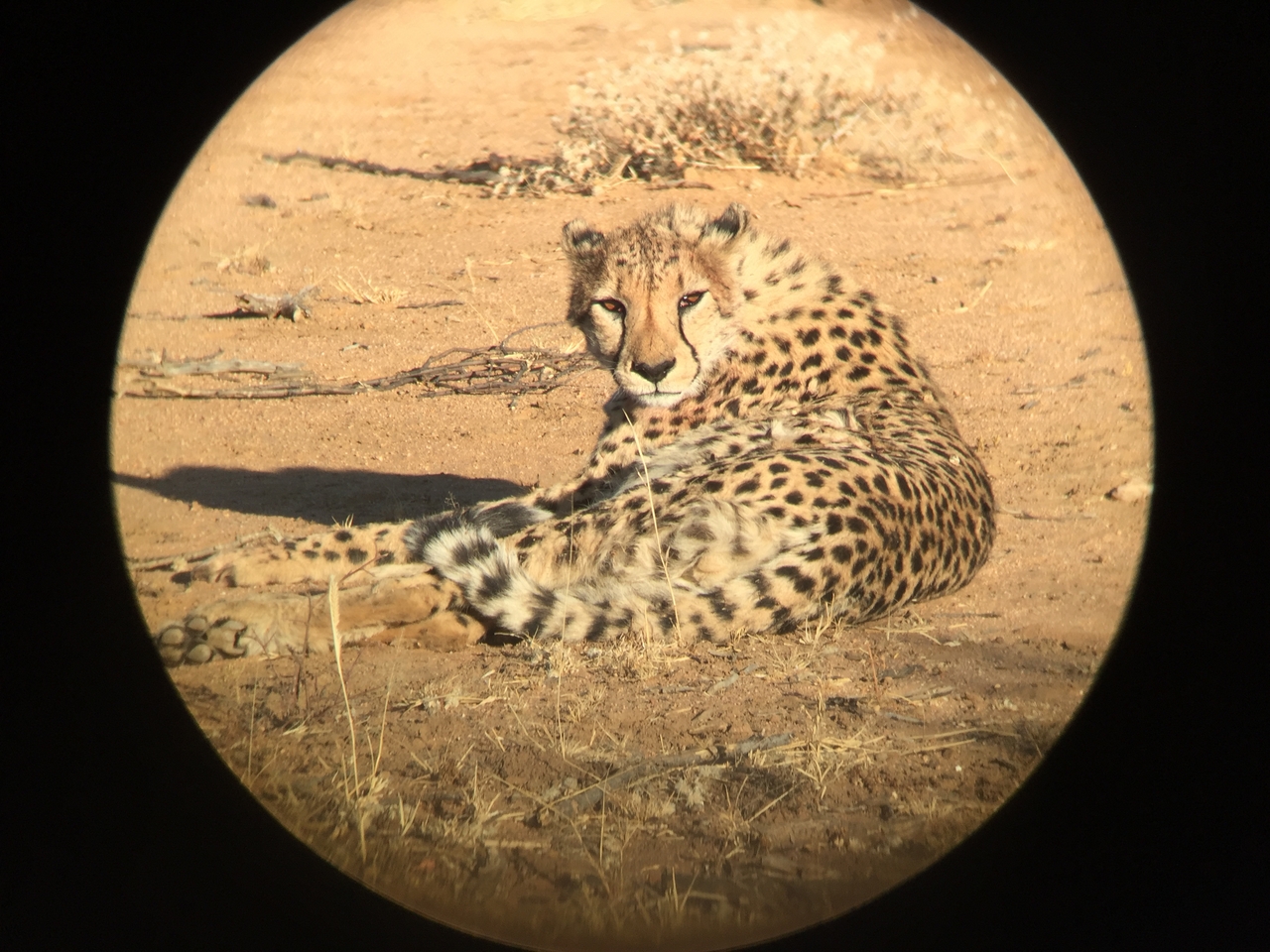 [2371] 2016_06_22_07_50_53_Africa_iPhone_6_IMG_7595_00192.jpg