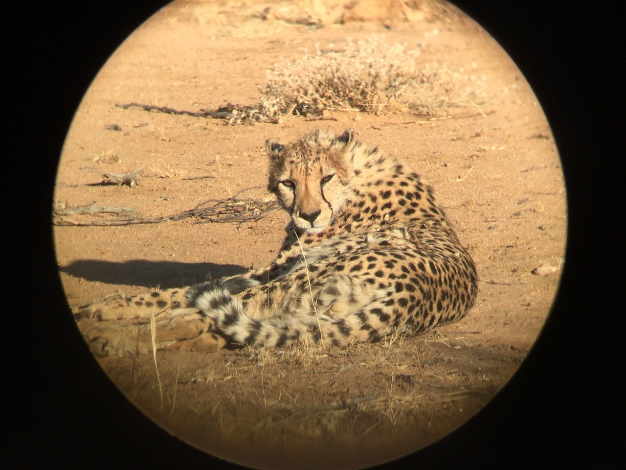 [2373] 2016_06_22_07_50_55_Africa_iPhone_6_IMG_7596_00193.jpg