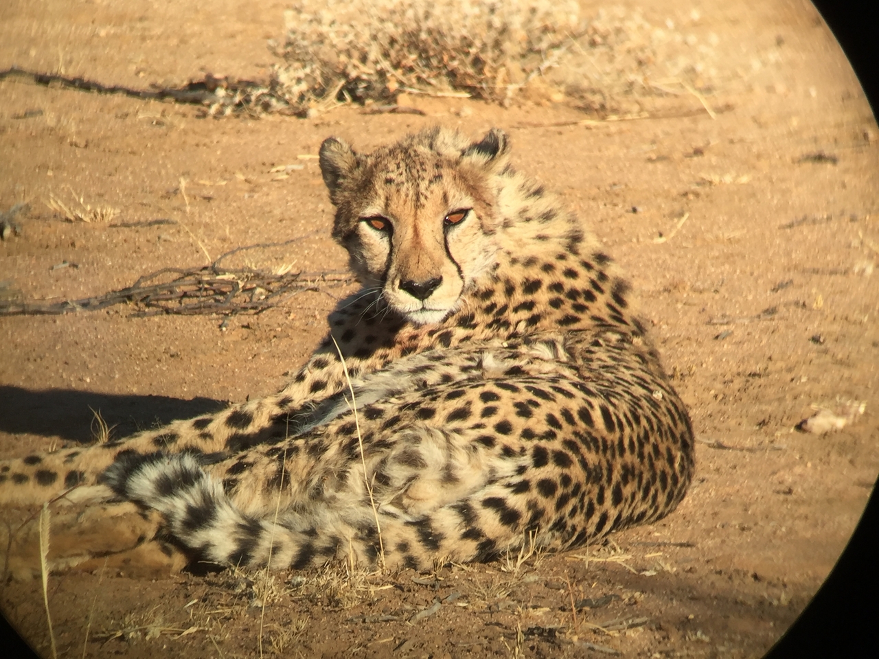 [2379] 2016_06_22_07_52_00_Africa_iPhone_6_IMG_7599_00196.jpg