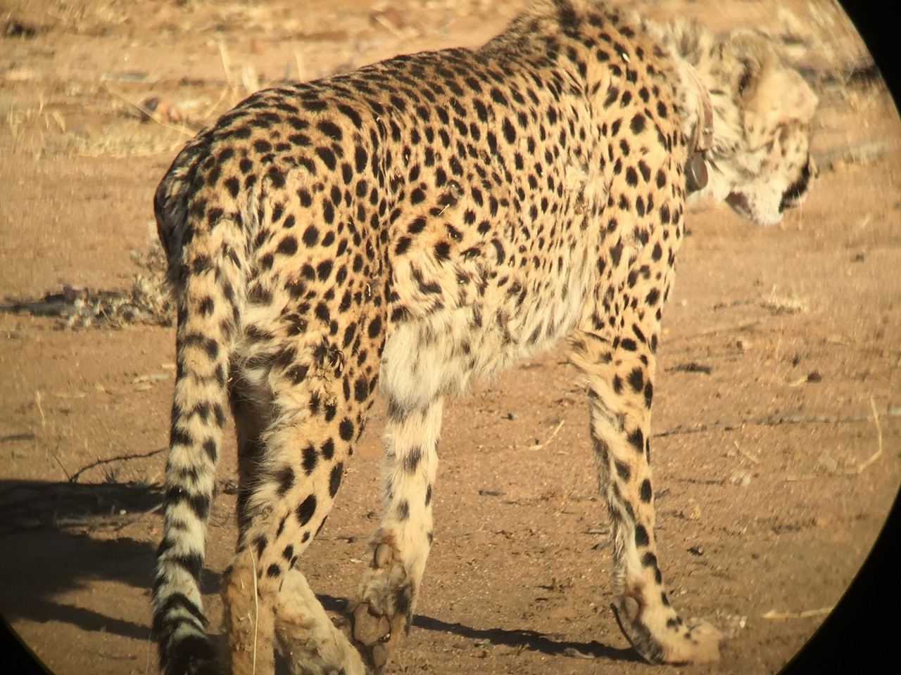 [2381] 2016_06_22_07_52_06_Africa_iPhone_6_IMG_7600_00197.jpg