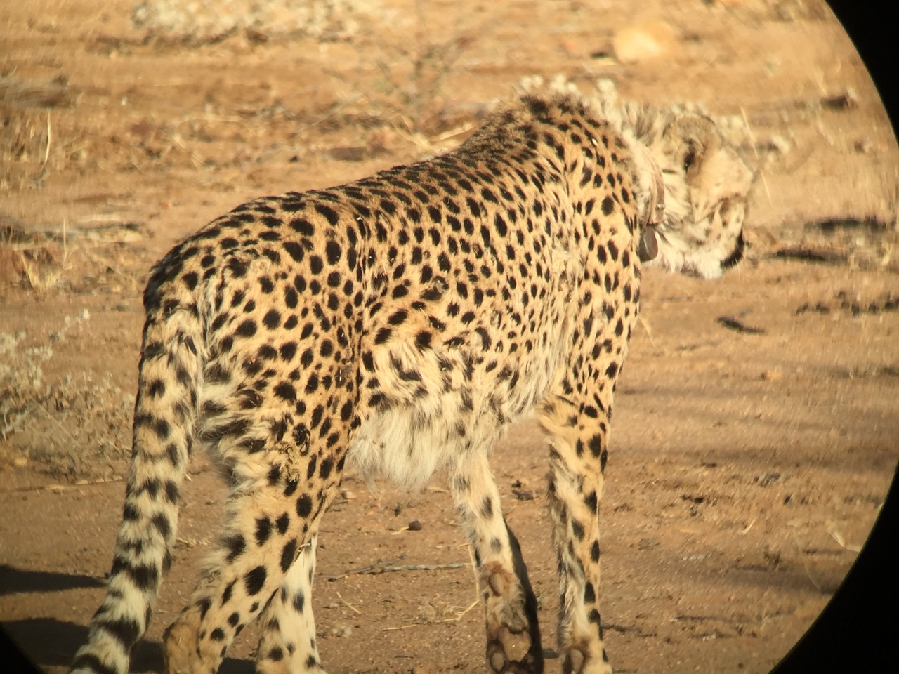 [2384] 2016_06_22_07_52_08_Africa_iPhone_6_IMG_7601_02539.jpg