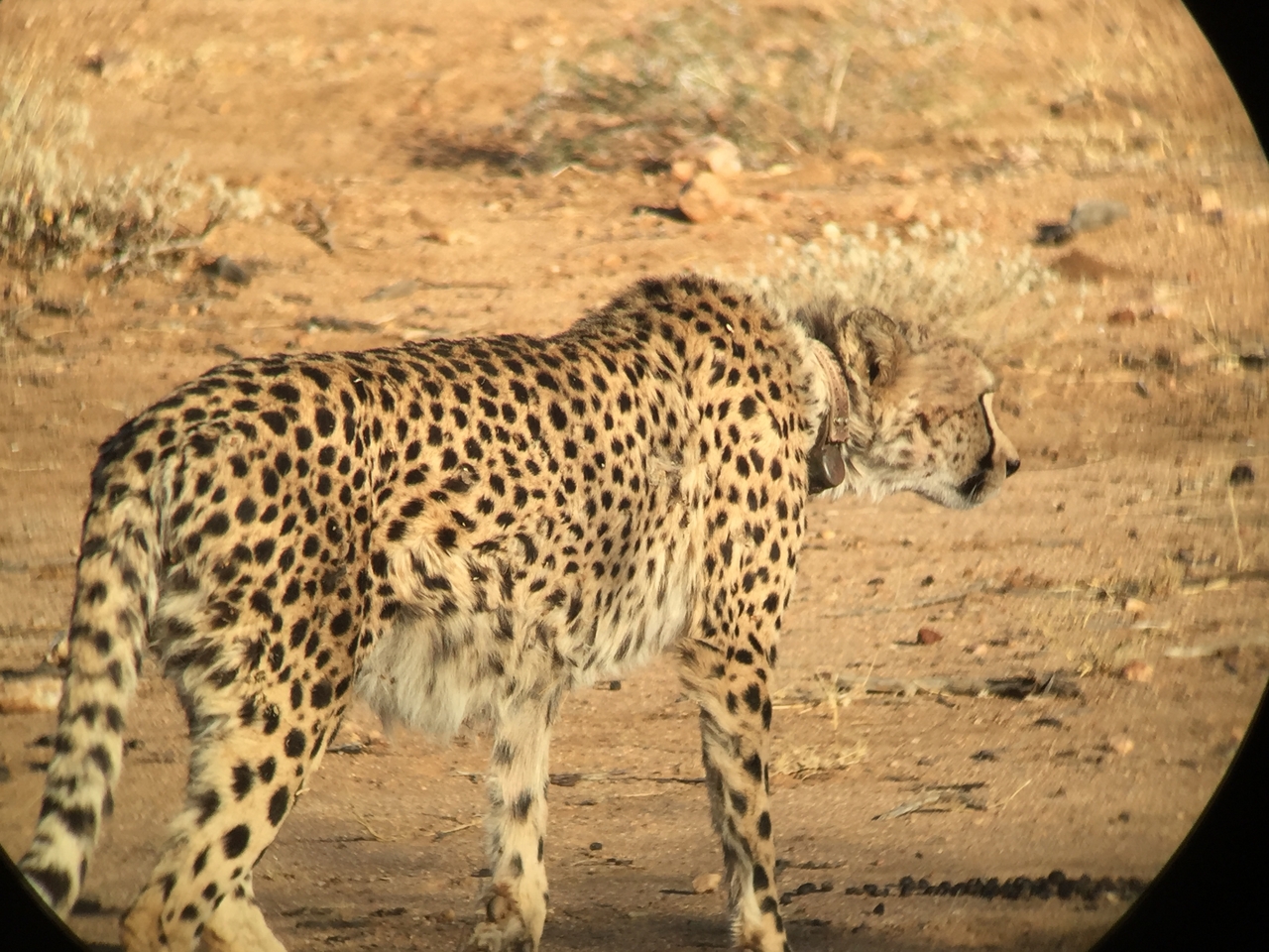 [2385] 2016_06_22_07_52_12_Africa_iPhone_6_IMG_7602_00199.jpg