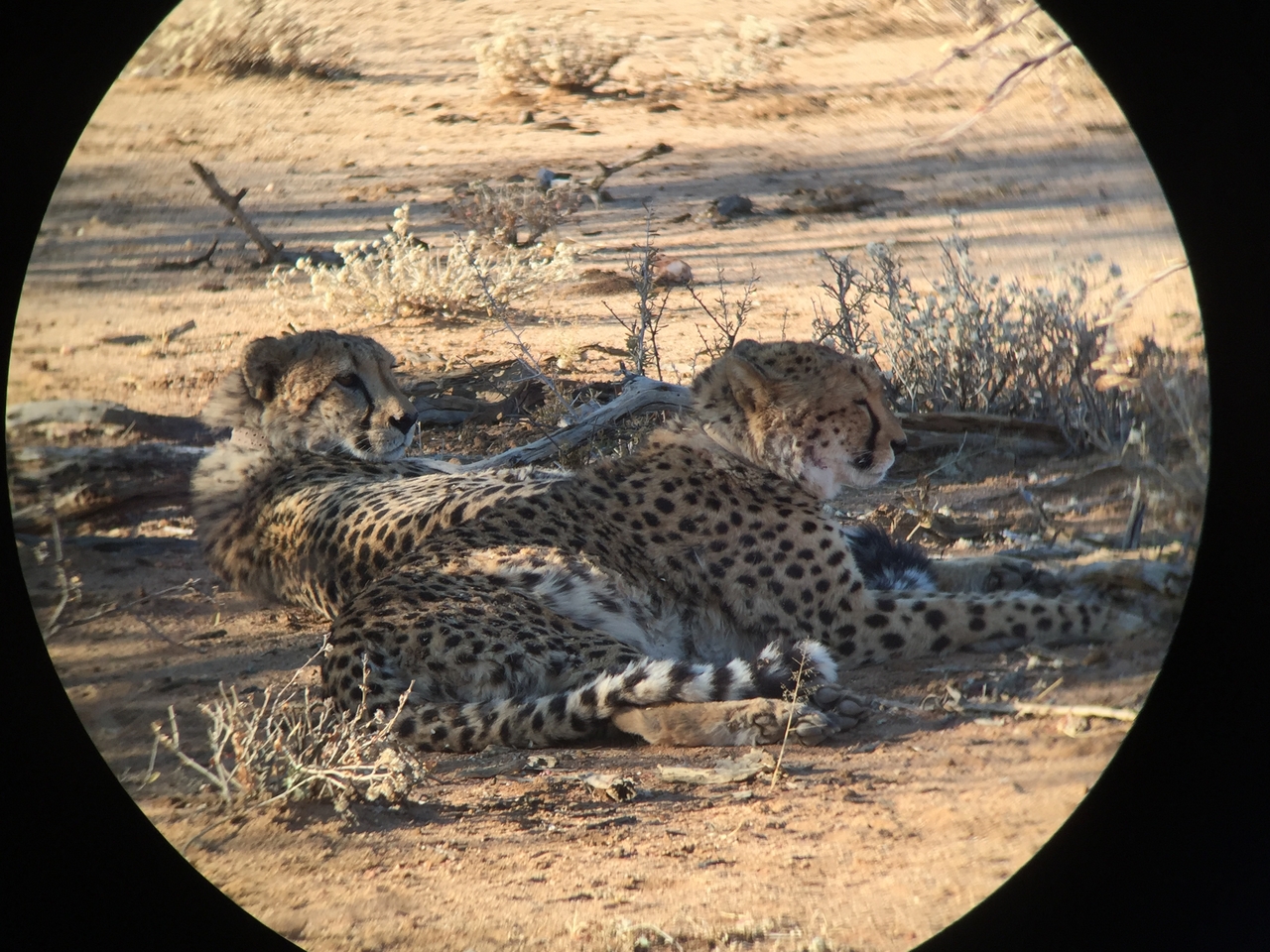 [2404] 2016_06_22_08_01_11_Africa_iPhone_6_IMG_7615_02549.jpg