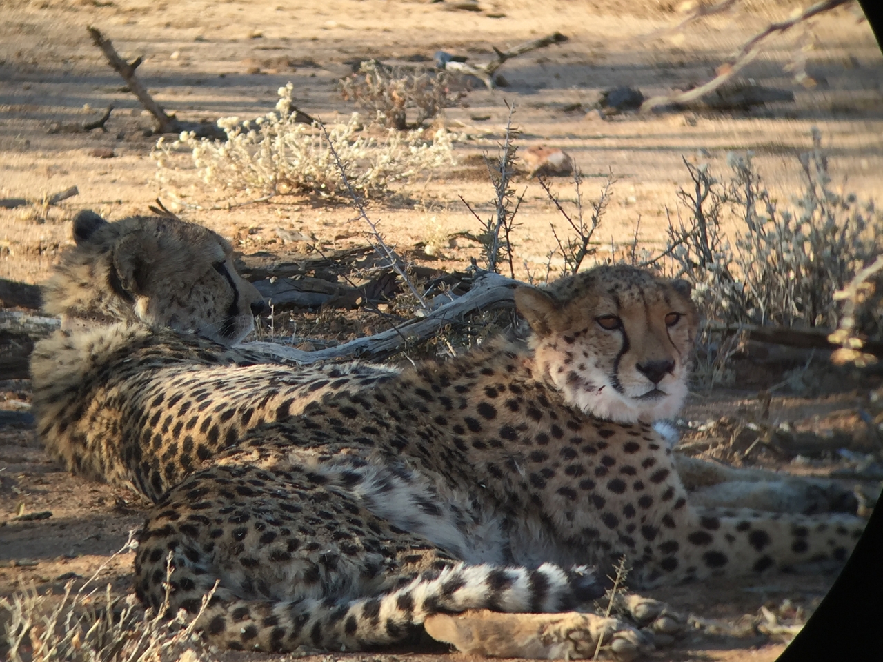 [2413] 2016_06_22_08_02_44_Africa_iPhone_6_IMG_7620_00213.jpg