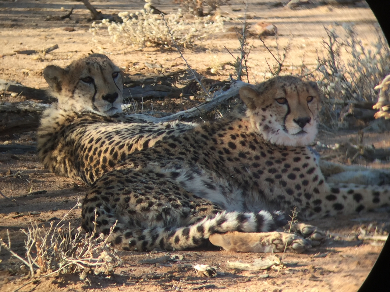 [2417] 2016_06_22_08_03_37_Africa_iPhone_6_IMG_7622_00215.jpg