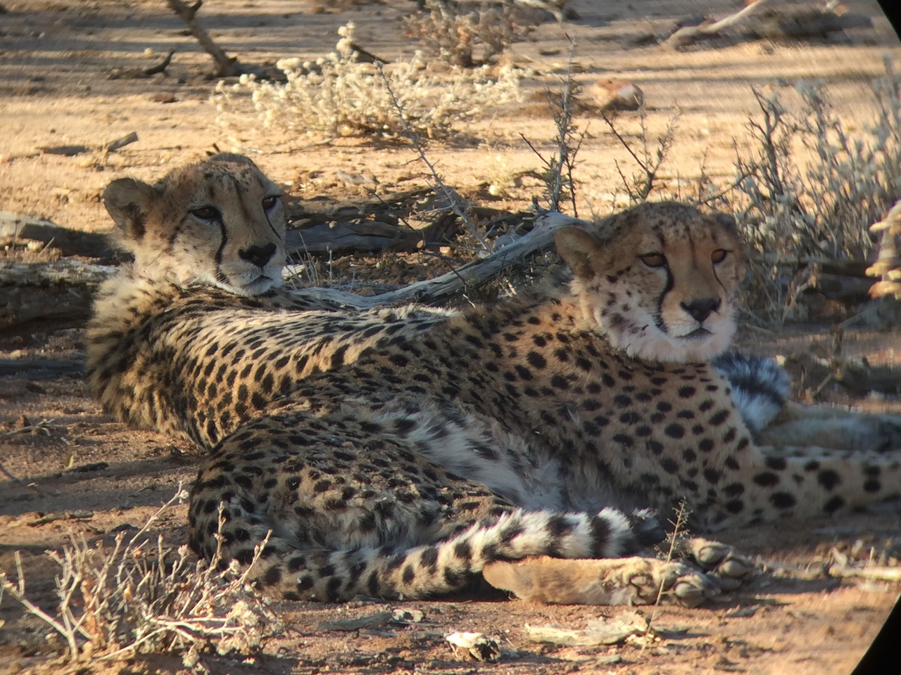 [2420] 2016_06_22_08_03_41_Africa_iPhone_6_IMG_7623_02557.jpg