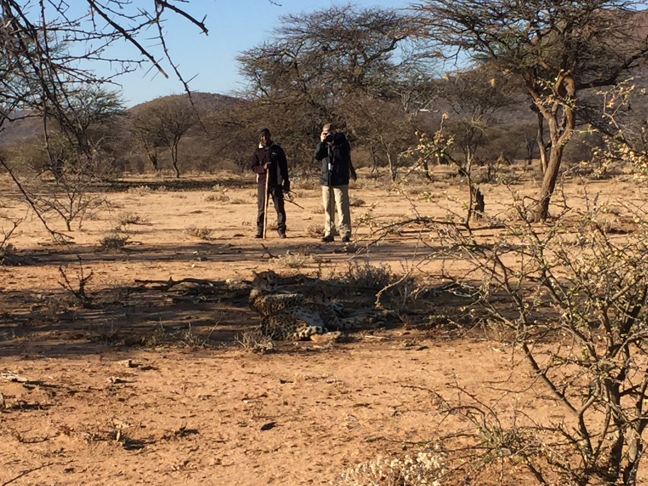 [2426] 2016_06_22_08_05_54_Africa_iPhone_6_IMG_7627_02560.jpg