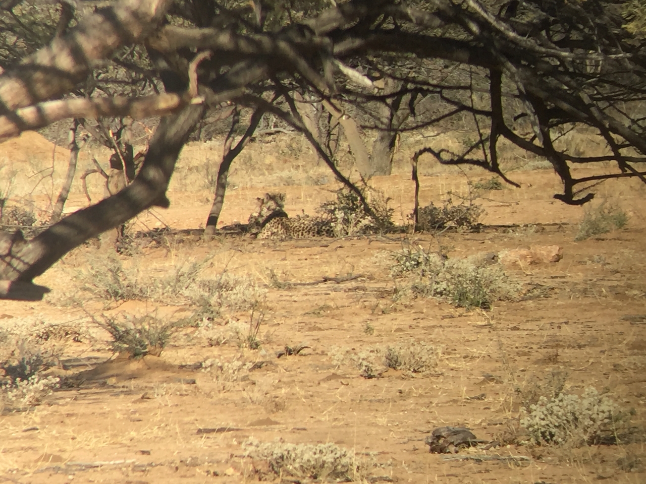 [2464] 2016_06_22_08_23_22_Africa_iPhone_6_IMG_7647_02579.jpg