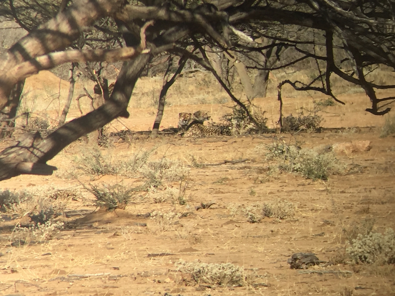 [2465] 2016_06_22_08_23_26_Africa_iPhone_6_IMG_7648_00239.jpg