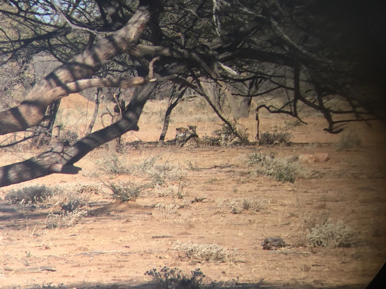 [2470] 2016_06_22_08_23_50_Africa_iPhone_6_IMG_7650_02582.jpg