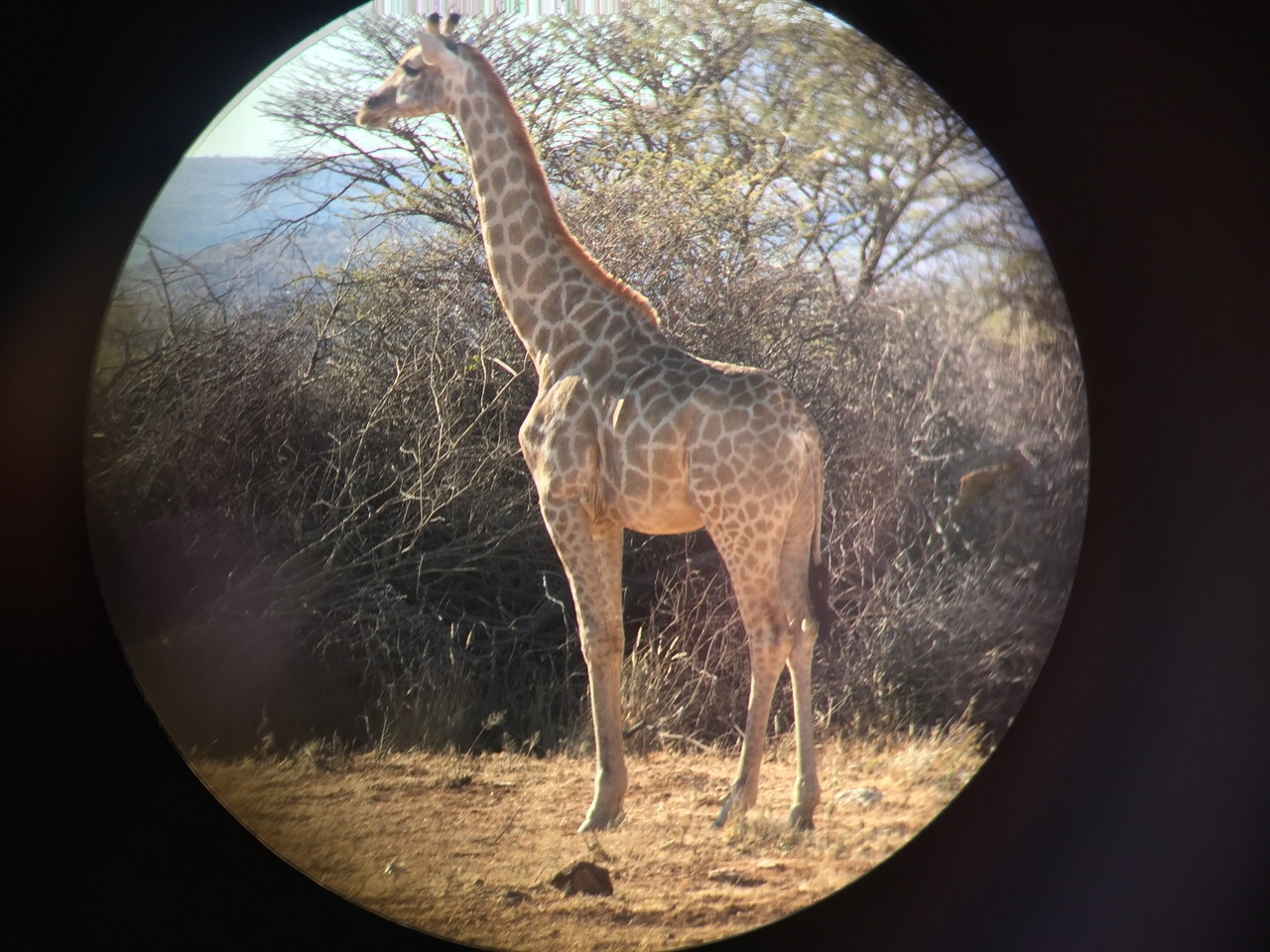 [2473] 2016_06_22_08_37_42_Africa_iPhone_6_IMG_7652_00243.jpg