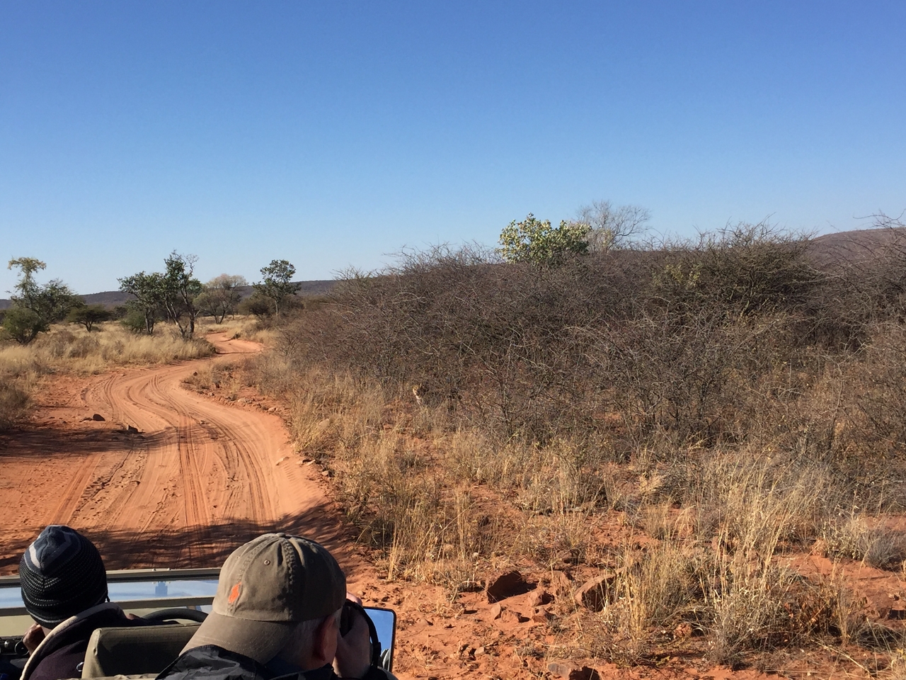 [2481] 2016_06_22_08_56_12_Africa_iPhone_6_IMG_7656_00247.jpg