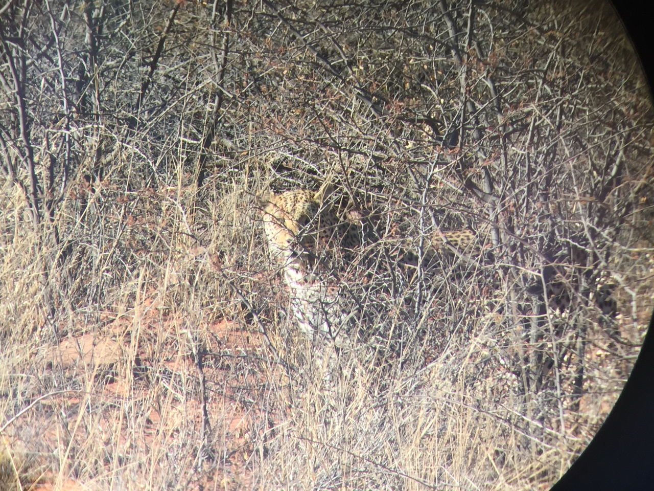 [2488] 2016_06_22_08_56_25_Africa_iPhone_6_IMG_7657_02589.jpg