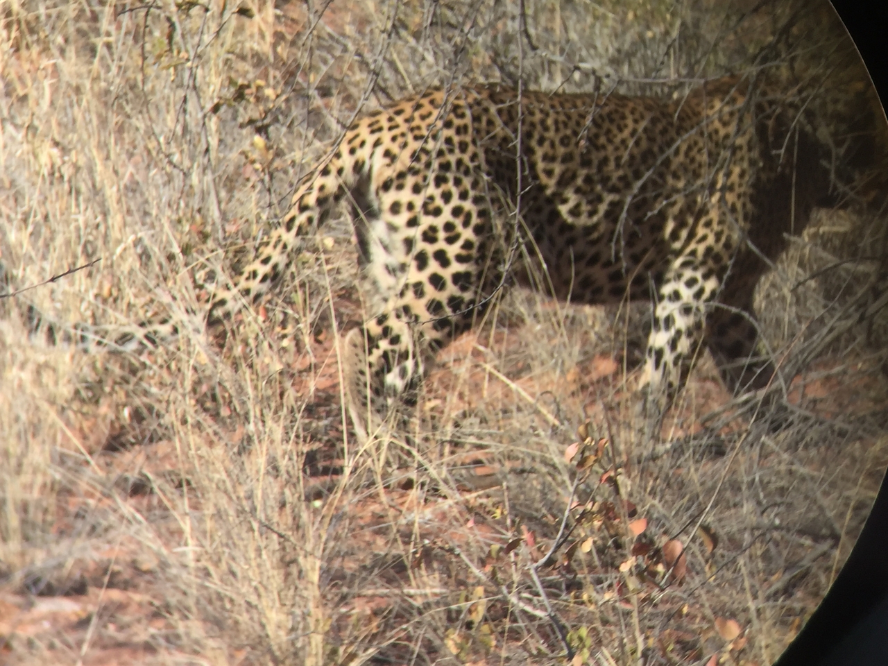 [2489] 2016_06_22_08_56_54_Africa_iPhone_6_IMG_7658_00249.jpg