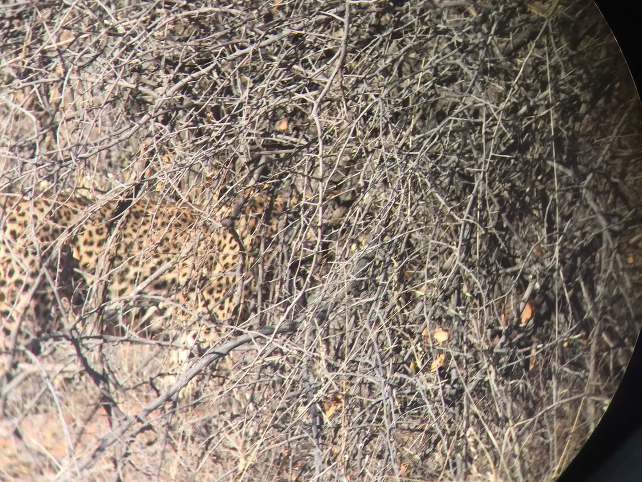 [2493] 2016_06_22_08_56_55_Africa_iPhone_6_IMG_7660_00251.jpg