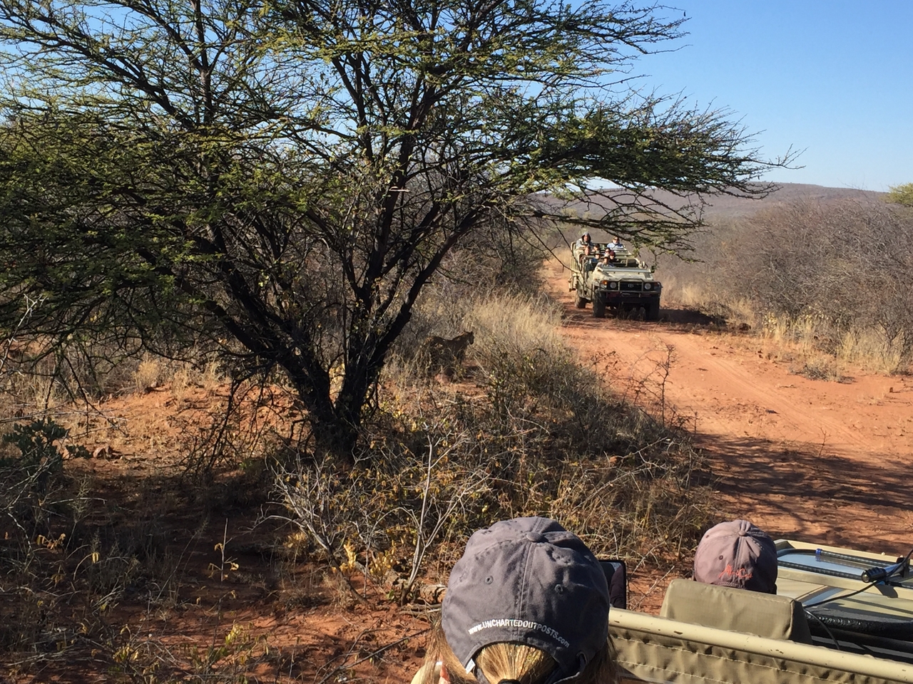 [2500] 2016_06_22_09_07_18_Africa_iPhone_6_IMG_7661_02593.jpg