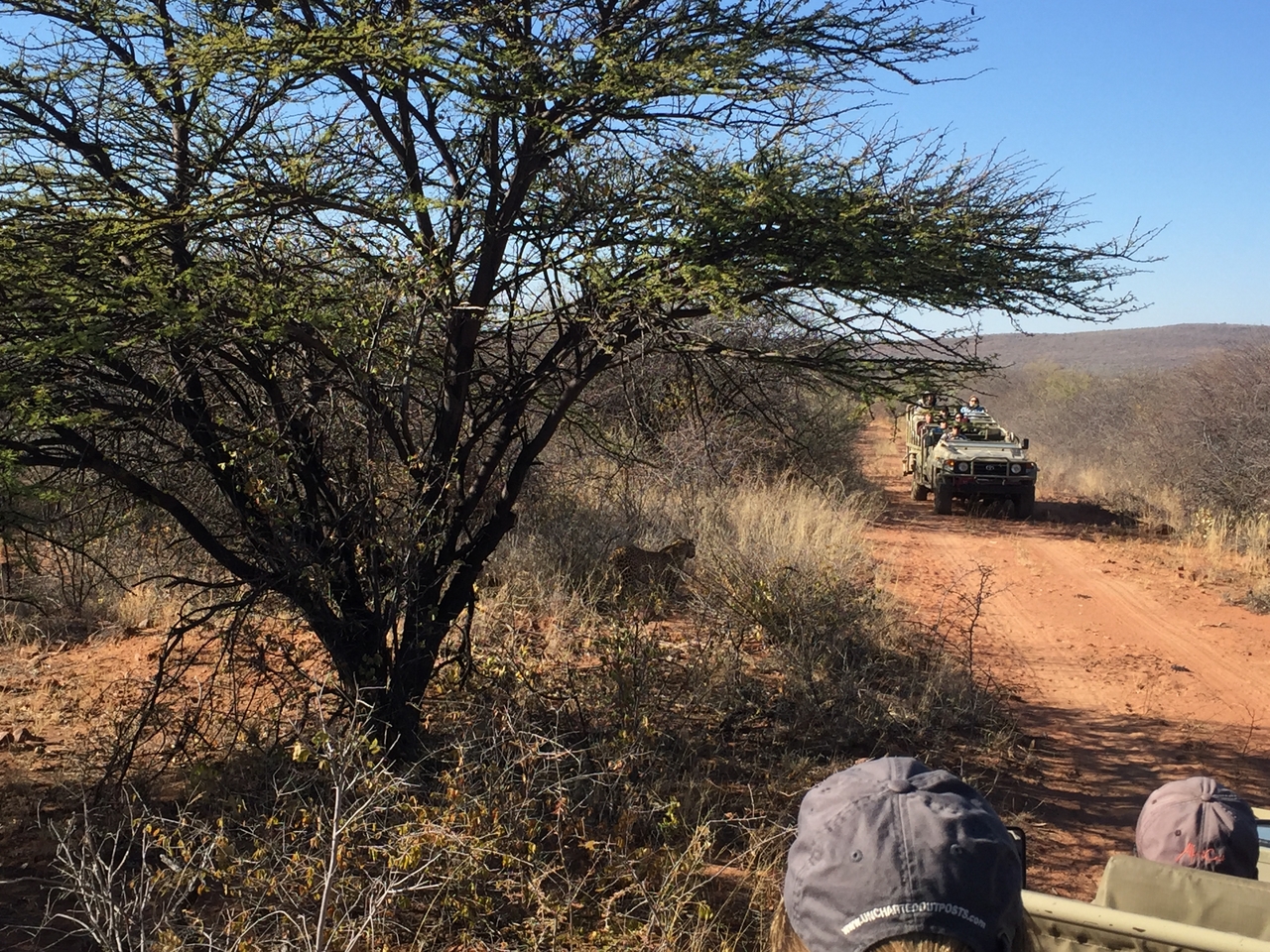 [2502] 2016_06_22_09_07_19_Africa_iPhone_6_IMG_7662_02594.jpg