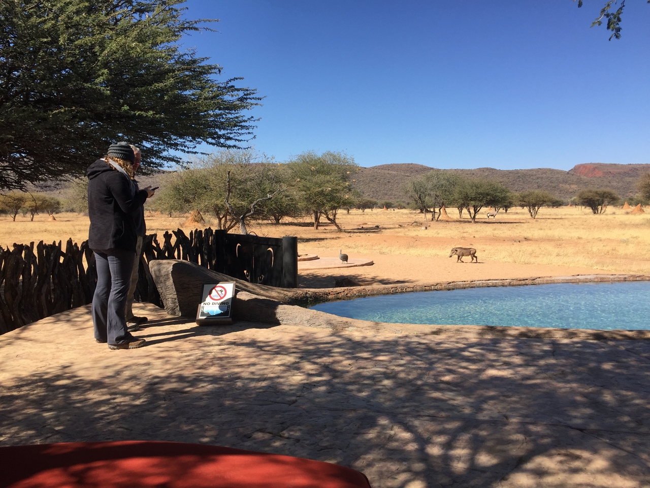 [2549] 2016_06_22_10_53_29_Africa_iPhone_6_IMG_7681_02613.jpg