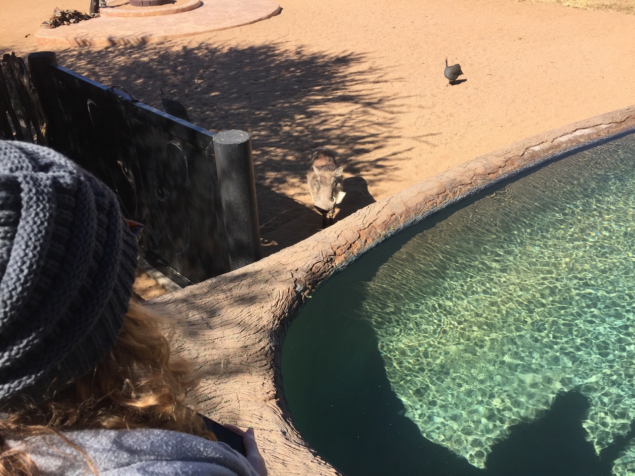 [2559] 2016_06_22_10_54_23_Africa_iPhone_6_IMG_7684_02616.jpg